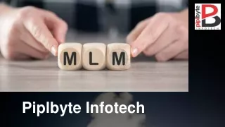 piplbyte infotech