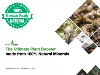 Envirolizer Natural Mineral Calcite Foliar Fertilizer Presentation