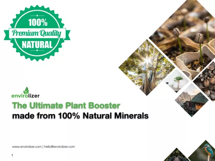 the ultimate plant booster made from 100 natural
