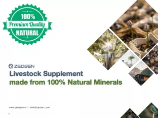 Zeosen Natural Mineral Zeolite Clinoptilolite Animal Food Supplement Presentation