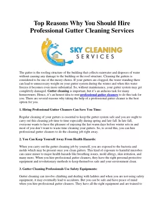 Top Reasons Why You Should Hire Professional Gutter Cleaning Services