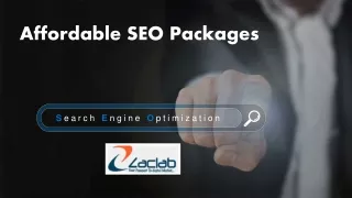 Affordable Seo Packages - Zaclab