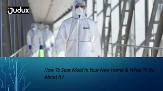 how to spot mold in your new home what