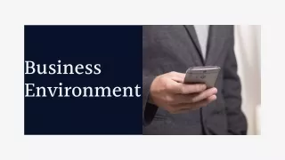 types of business environment