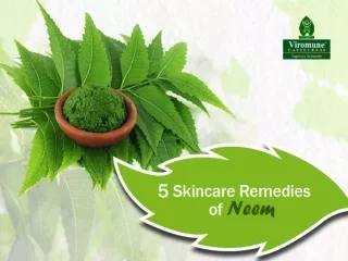 5 Skincare Remedies of Neem