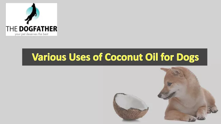 various uses of coconut oil for dogs