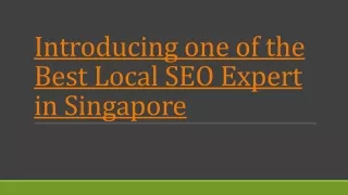 Local SEO Services Expert Solution in Singapore