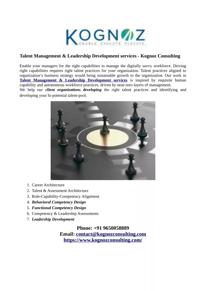 talent management leadership development services