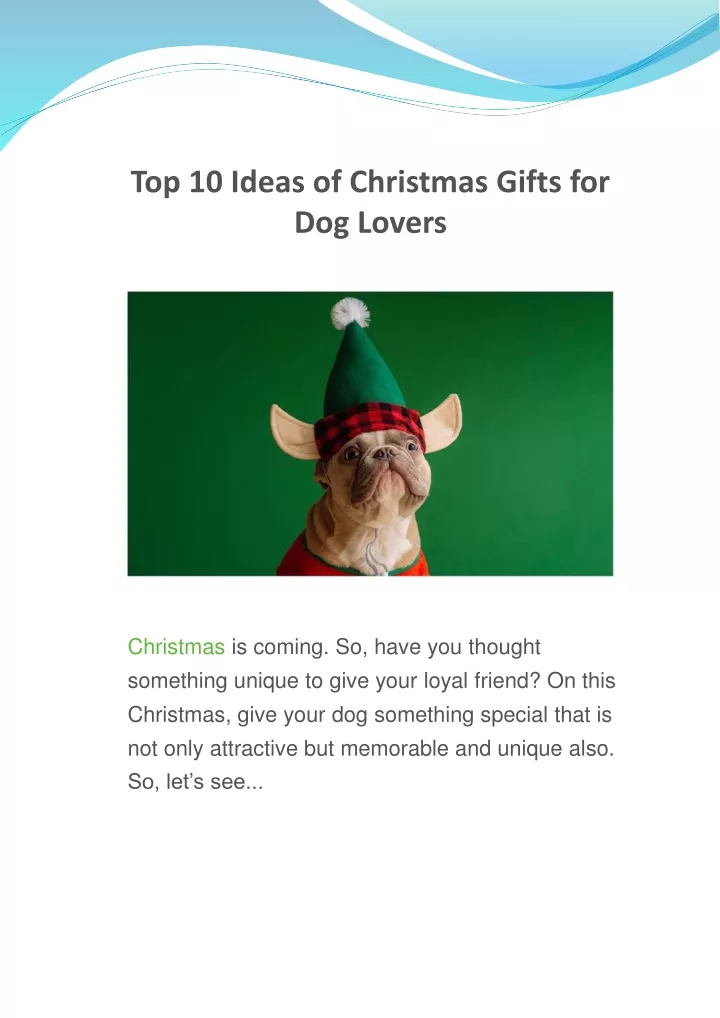 top 10 ideas of christmas gifts for dog lovers
