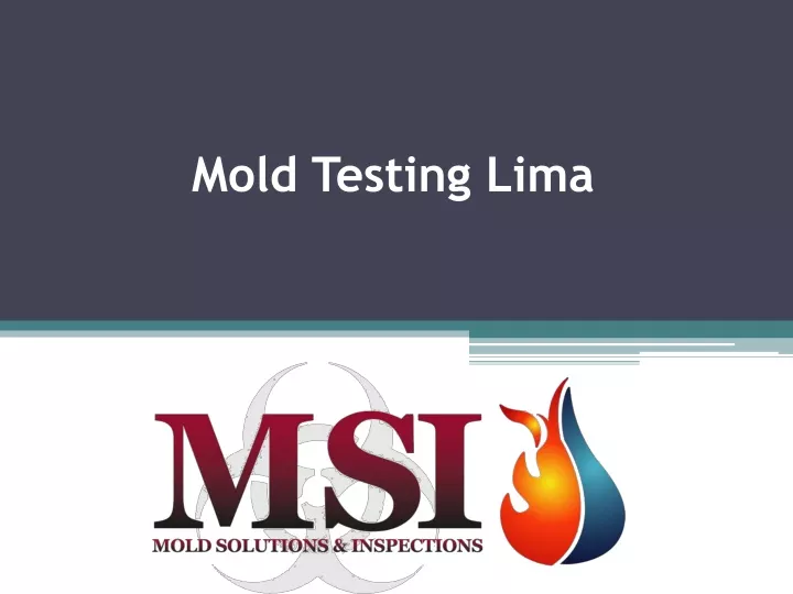 mold testing lima