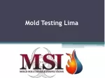 Mold Testing Lima - slide 1