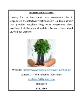 Long Term Investment Plan Singapore | Theselectiveinvestment.com