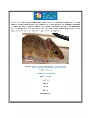 Mouse Exterminator Edmonton | Pestcontrolexperts.ca