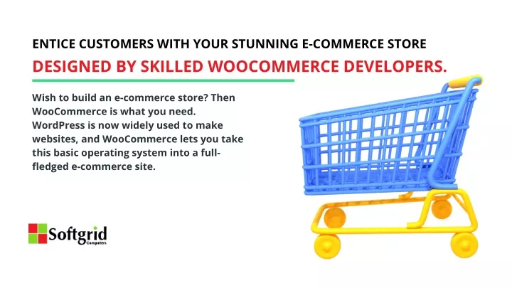 entice customers with your stunning e commerce