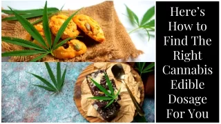 Here’s How to Find The Right Cannabis Edible Dosage For You