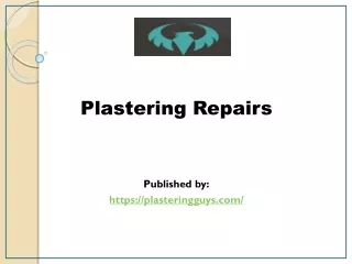 Plastering Repairs