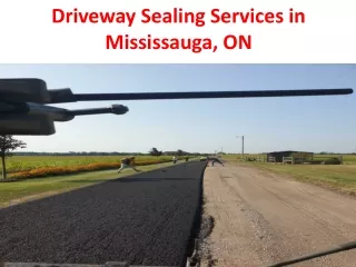 Driveway Sealing Services in Mississauga, ON