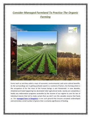 Consider Managed Farmland To Practice The Organic Farming