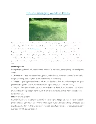 tips on managing weeds in lawns