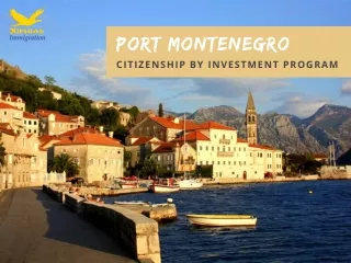 port montenegro citizenship by investment program