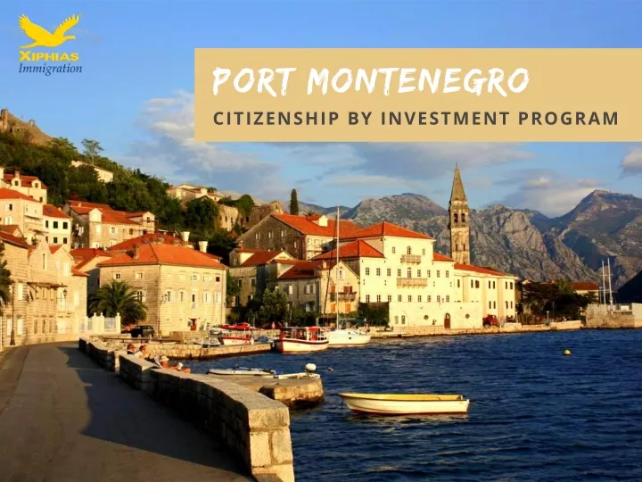 port montenegro citizenship by investment program