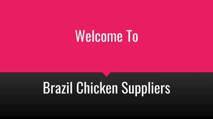 welcome to brazil chicken suppliers