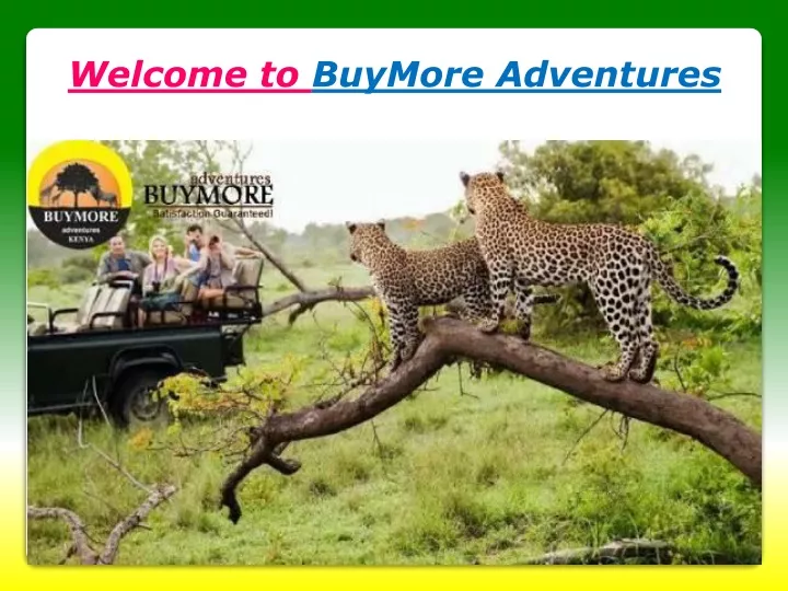 welcome to buymore adventures
