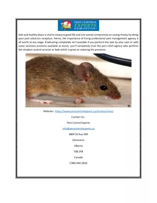 Mouse Exterminator Edmonton | Pestcontrolexperts.ca