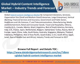 Global Hybrid Content Intelligence Market Revenue, Trends, Volume, Share and Size Outlook And Strategic Outlook By Key P