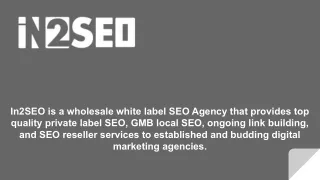in2seo is a wholesale white label seo agency that