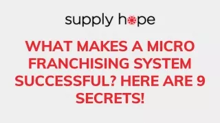 What Makes A Micro Franchising System Successful? Here Are 9 Secrets!