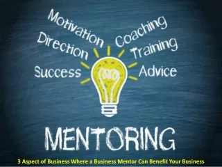 3 aspect of business where a business mentor