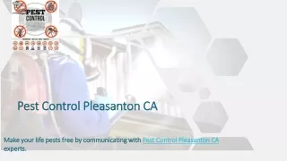 Pest Control CA