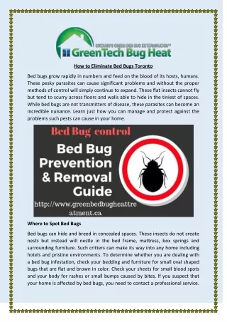 How to Eliminate Bed Bugs Toronto