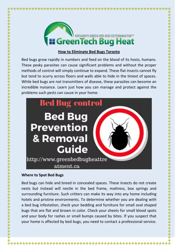 how to eliminate bed bugs toronto
