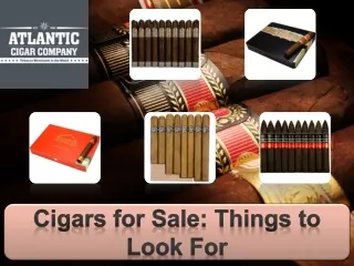 Cigars for Sale: Things to Look For