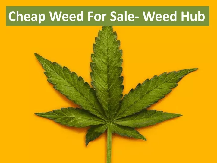 cheap weed for sale weed hub