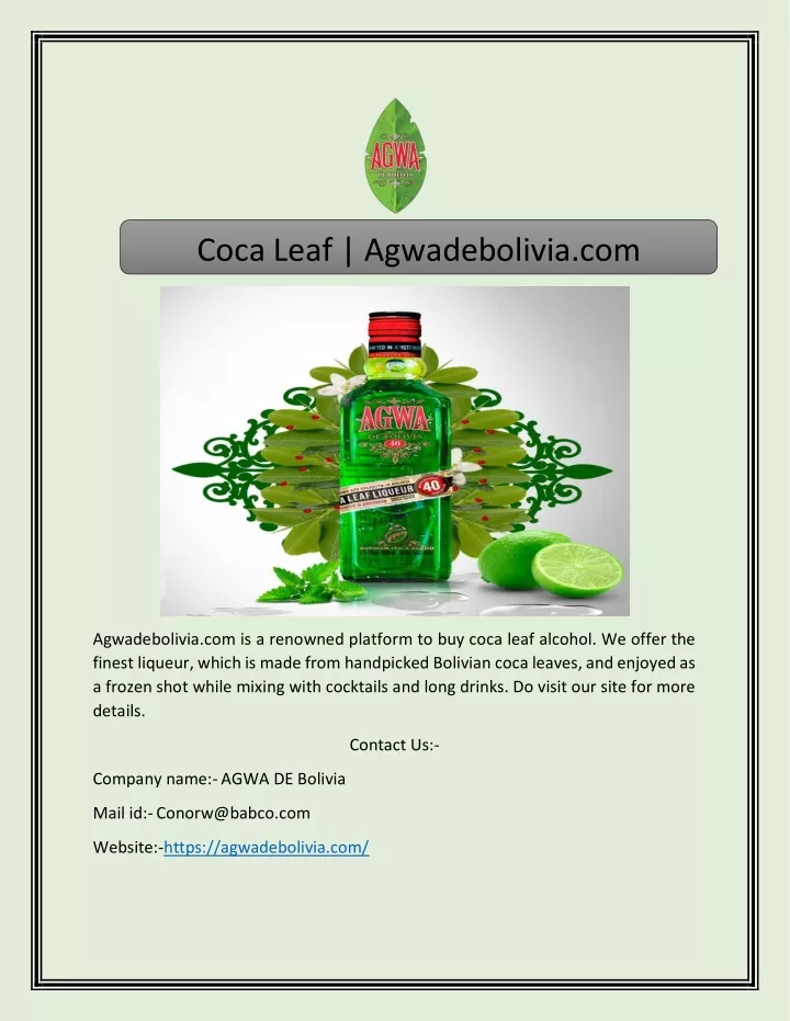 coca leaf agwadebolivia com