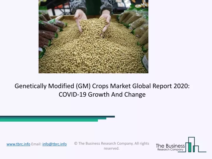 genetically modified gm crops market global