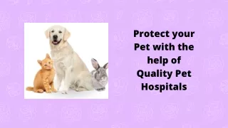 protect your pet with the help of quality