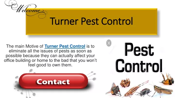 turner pest control turner pest control