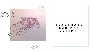 readymade b2b php script