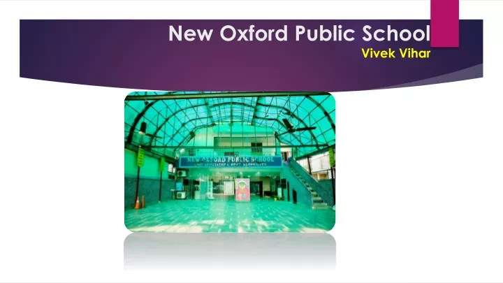 new oxford public school vivek vihar