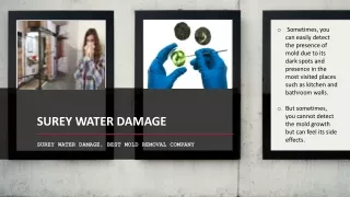 Water Damage Restoration Services Temple City CA