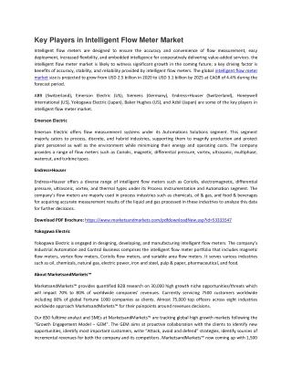 key players in intelligent flow meter market