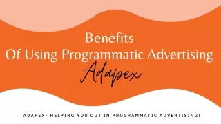 Benefits of using programmatic advertising - Adapex