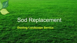 SOD Replacement