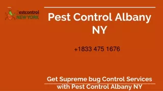 Pest Control Albany NY