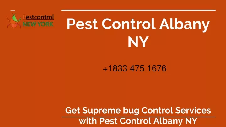 pest control albany ny get supreme bug control services with pest control albany ny