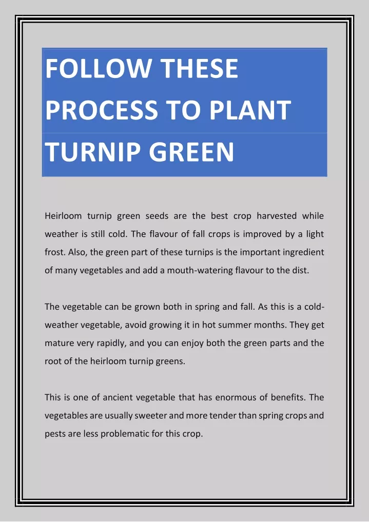 follow these process to plant turnip green